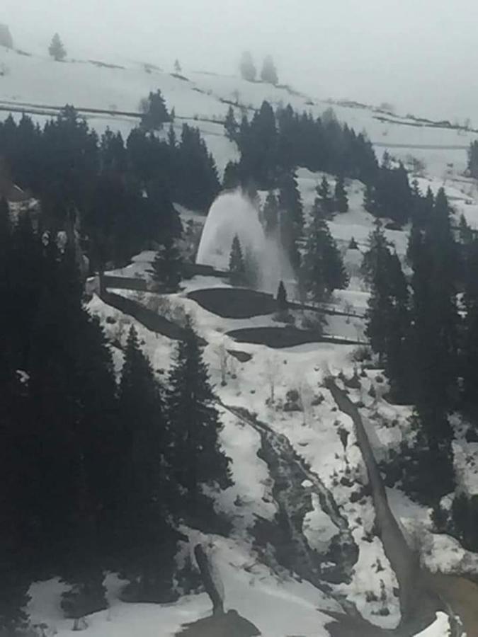 Na Pograniczu Domek W Gorach Lasowka Exterior foto